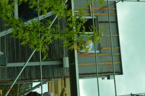 Quels sont les avantages d'une surélévation de maison en ossature bois ?, Toulouse, Cultur'bois