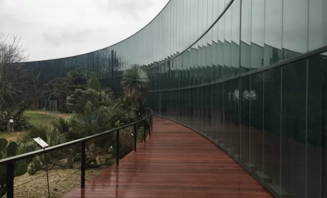 Terrasse en Cumaru au Muséum de Toulouse, Toulouse, Cultur'bois