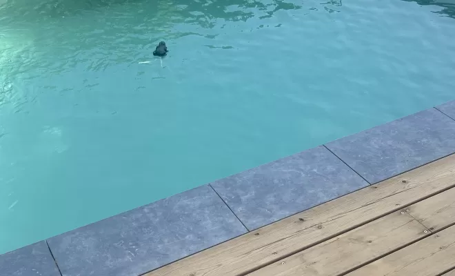 Création d'une terrasse de piscine en pin US, Toulouse, Cultur'bois