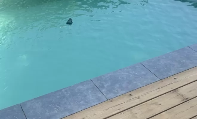 Cultur'bois achève une terrasse de piscine en PIN US à Montastruc, Toulouse, Cultur'bois